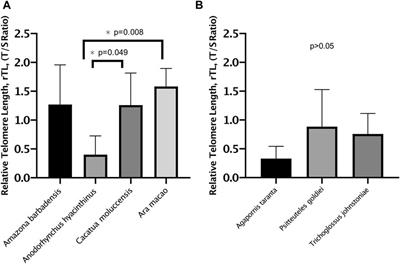 An approach to the effects of longevity, sexual maturity, and reproduction on telomere length and oxidative stress in different Psittacidae species